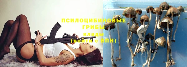 прущие грибы Сосновоборск