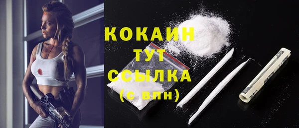 ECSTASY Няндома
