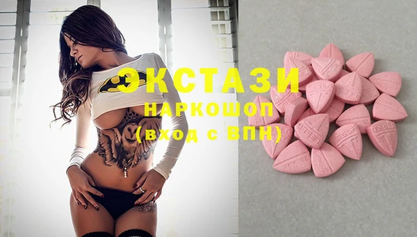 ECSTASY Няндома